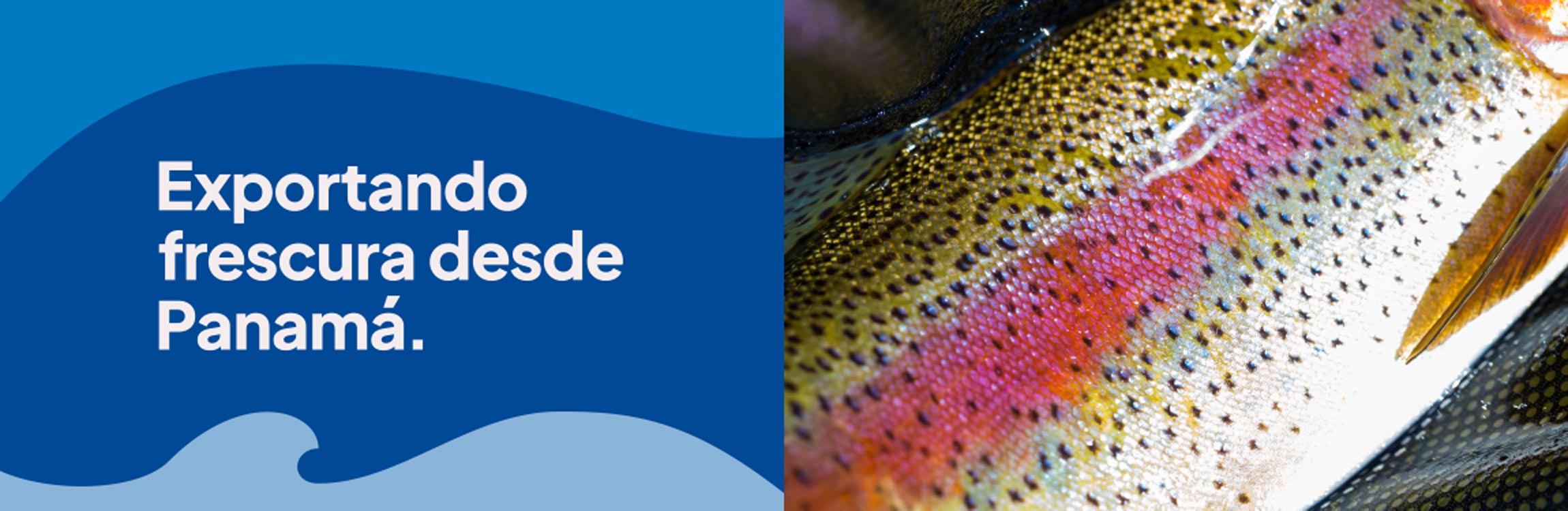 Exportando frescura desde Panamá